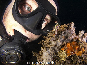 My dive buddy trying to look as cute as the Nudibranch:) by Tracey Harris 